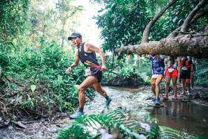 BIB: 
                            <button type="button" onclick="openModal(25443916)" class="btn btn-primary btn-sm float-right btn-popup" data-toggle="modal" data-target=".modal-high-quality">
                        <i class="fas fa-shopping-cart"></i> Add to Cart
                    </button>
                                            <button type="button" onclick="isThisMe(25443916, true)" class="btn btn-success btn-sm float-right btn-popup btn-isme hidden" data-toggle="tooltip" data-placement="bottom" title="นี่คือรูปของคุณใช่ไหม คลิกที่นี่เพื่อเอาเข้าอัลบั้ม">
                        <i class="fas fa-plus"></i> Add to album
                    </button>
                    <button type="button" onclick="isThisMe(25443916, false)" class="btn btn-warning btn-sm float-right btn-popup btn-isnotme hidden">
                        <i class="fas fa-ban"></i> Remove from album
                    </button>